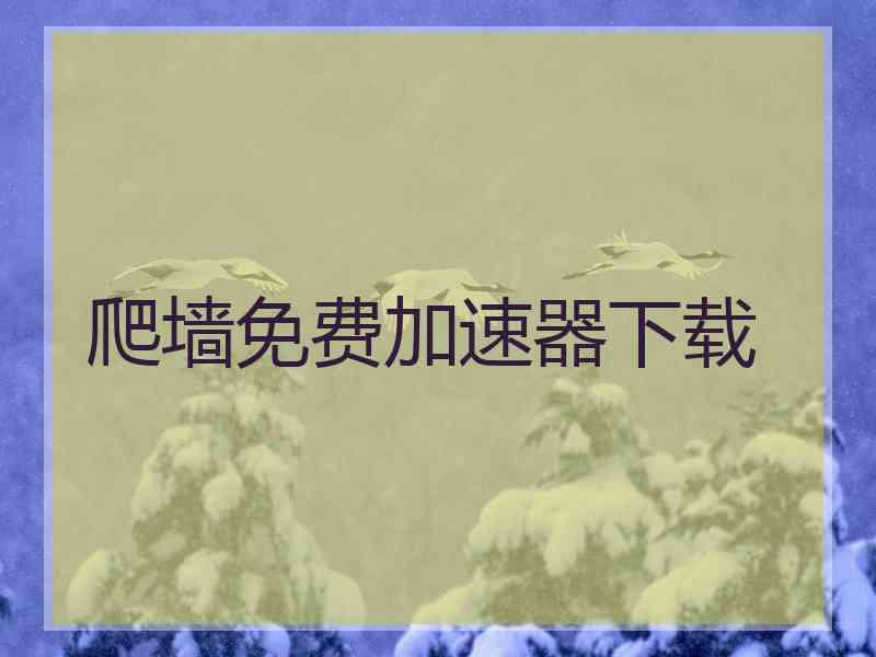 爬墙免费加速器下载