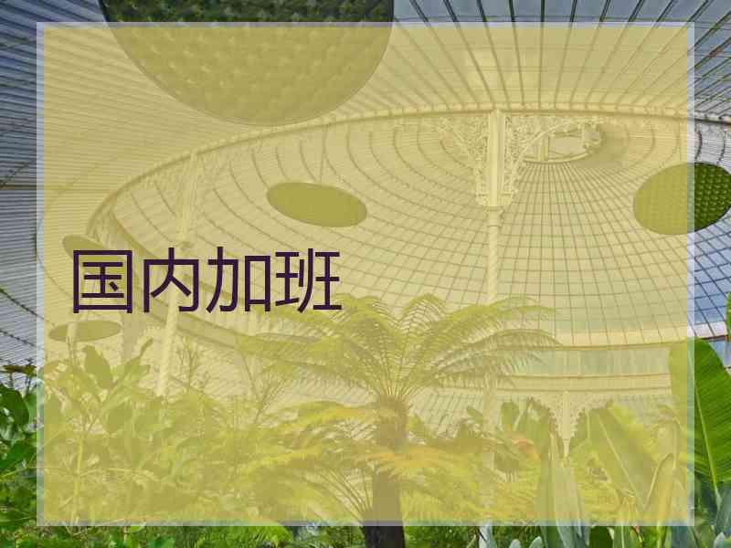 国内加班