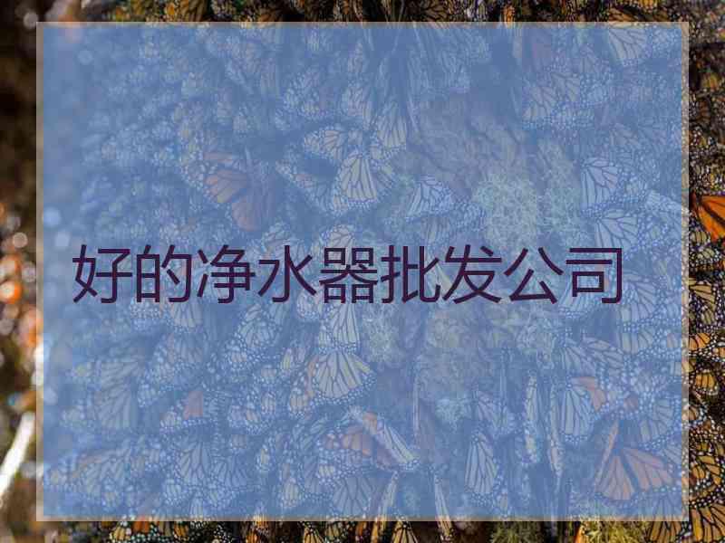 好的净水器批发公司