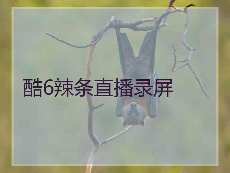 酷6辣条直播录屏
