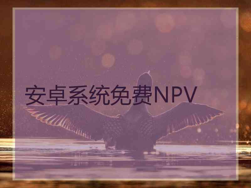 安卓系统免费NPV