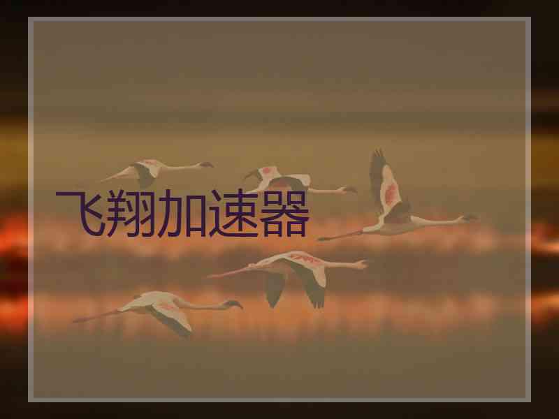 飞翔加速器