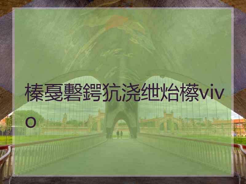 榛戞礊鍔犺浇绁炲櫒vivo