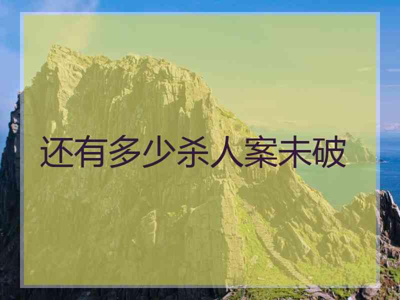 还有多少杀人案未破
