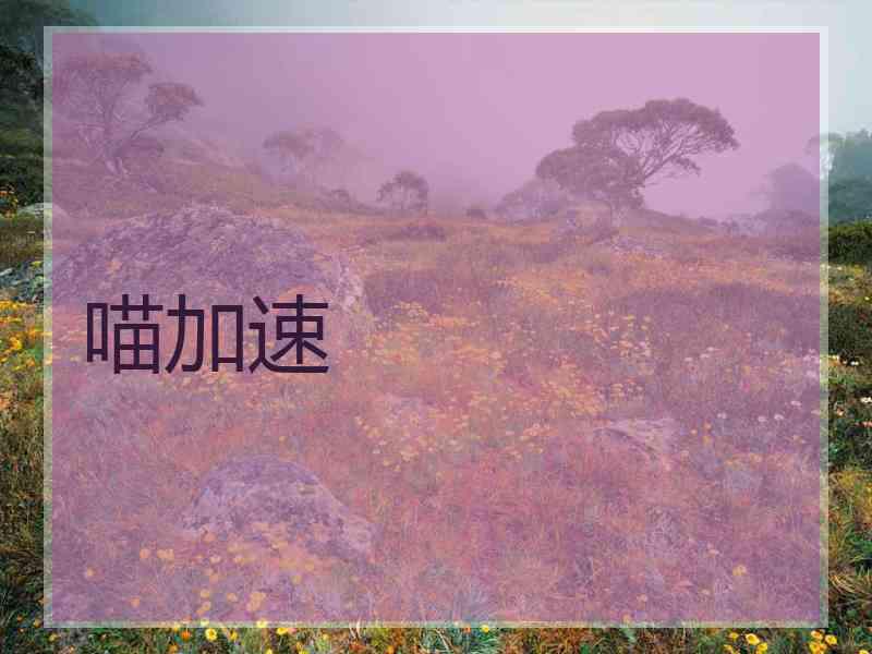 喵加速