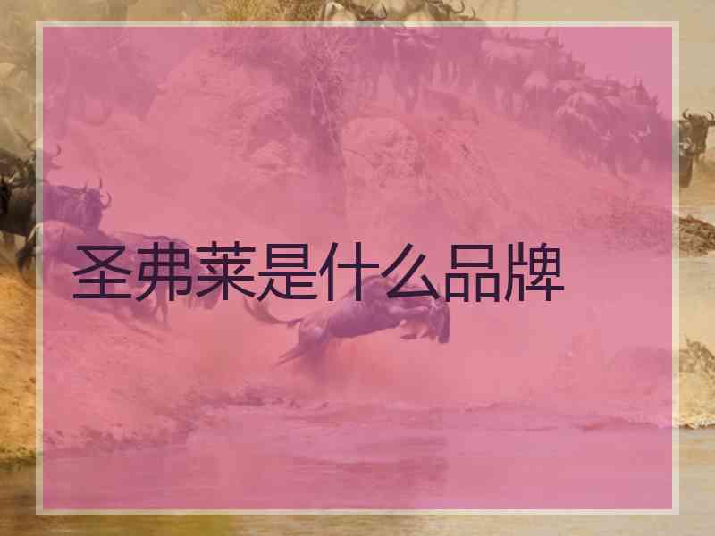 圣弗莱是什么品牌