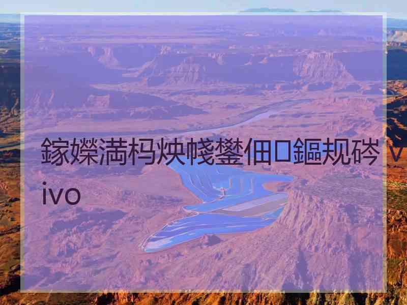 鎵嬫満杩炴帴鐢佃鏂规硶 vivo
