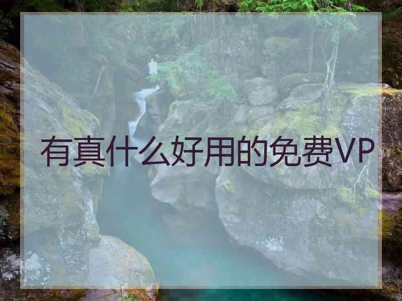 有真什么好用的免费VP