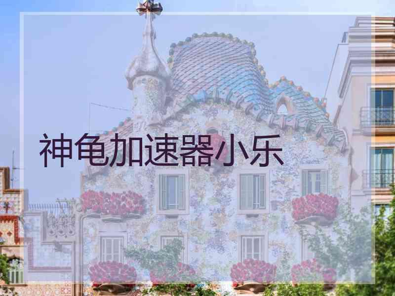 神龟加速器小乐