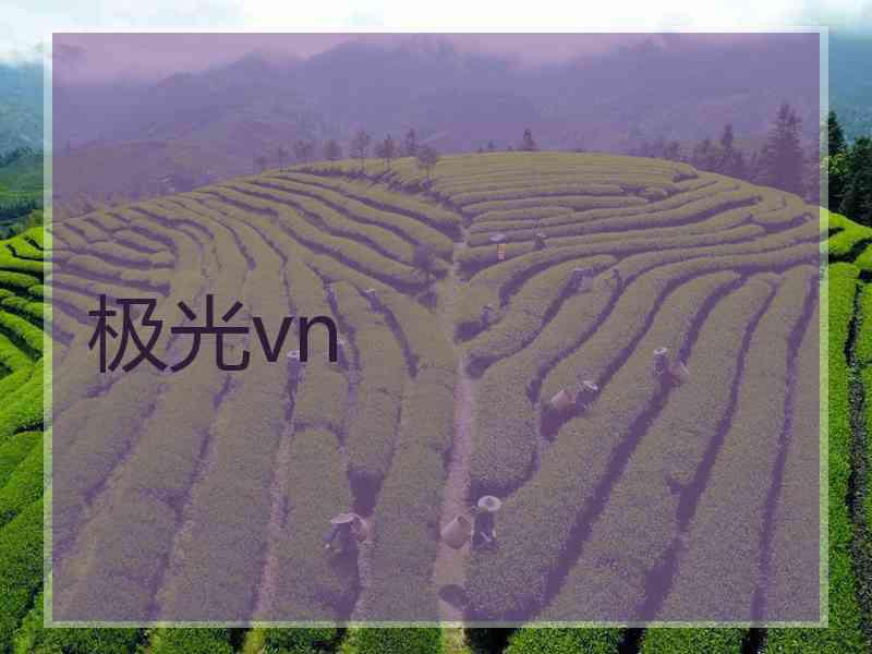 极光vn