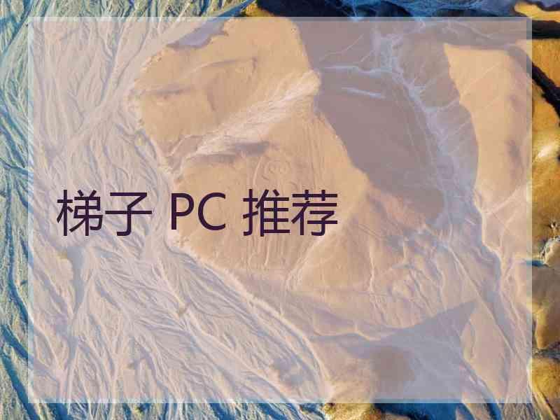 梯子 PC 推荐