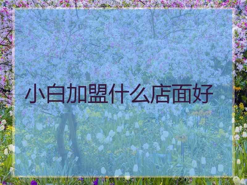 小白加盟什么店面好