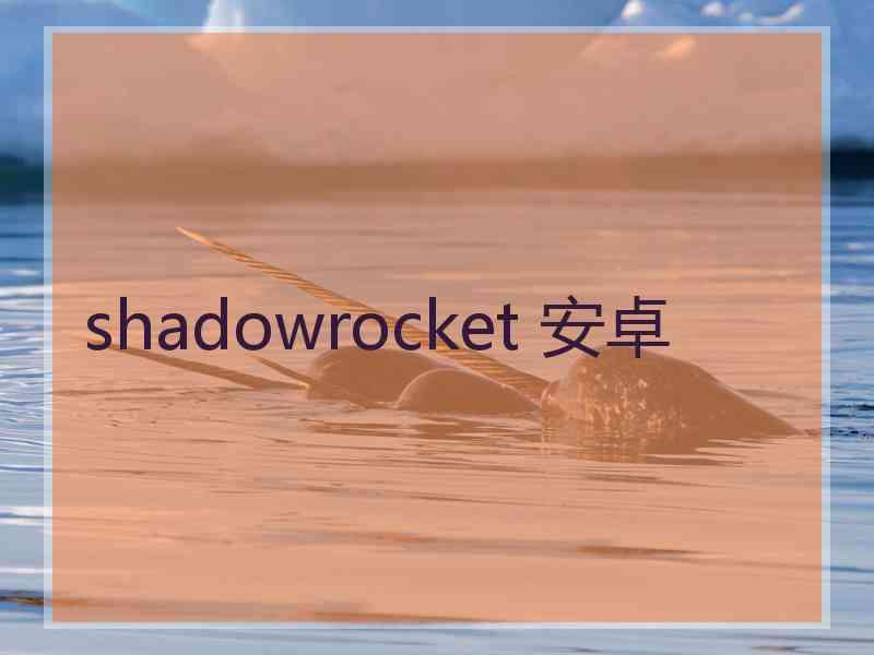 shadowrocket 安卓