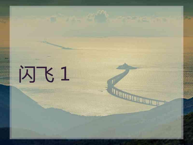 闪飞 1