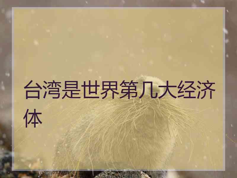 台湾是世界第几大经济体