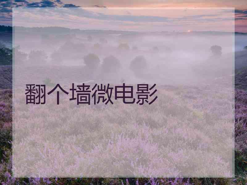 翻个墙微电影