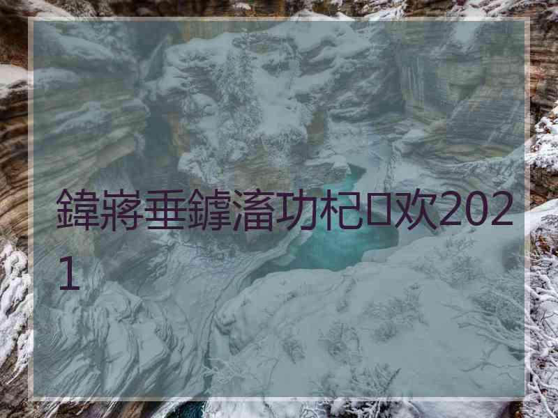 鍏嶈垂鎼滀功杞欢2021