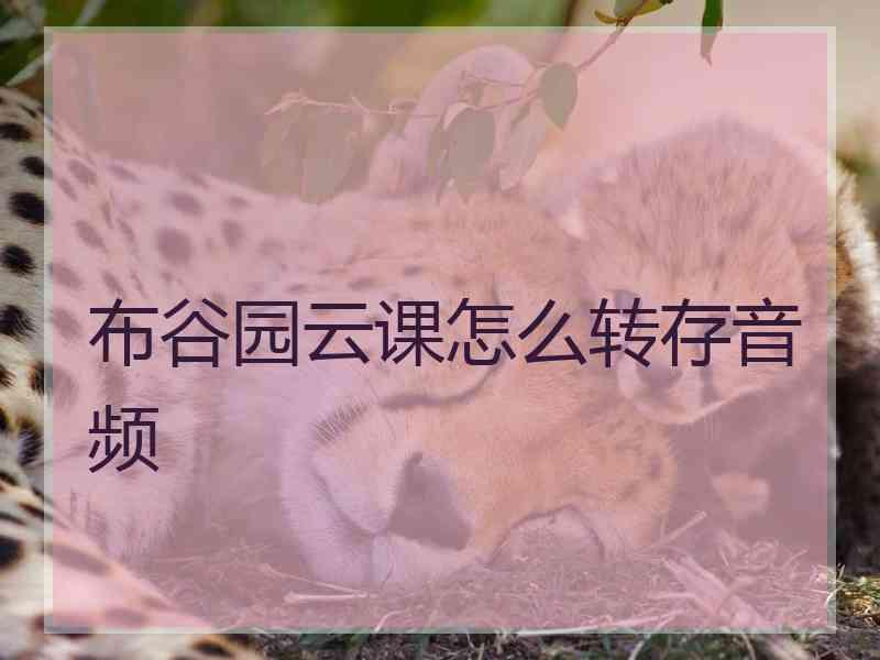 布谷园云课怎么转存音频