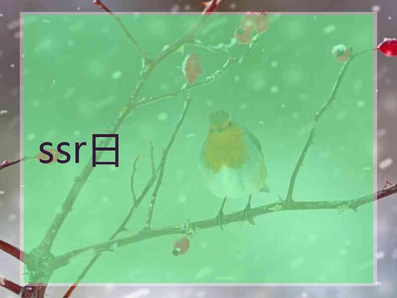 ssr日