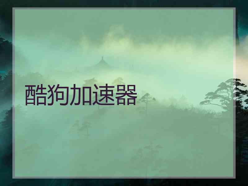 酷狗加速器