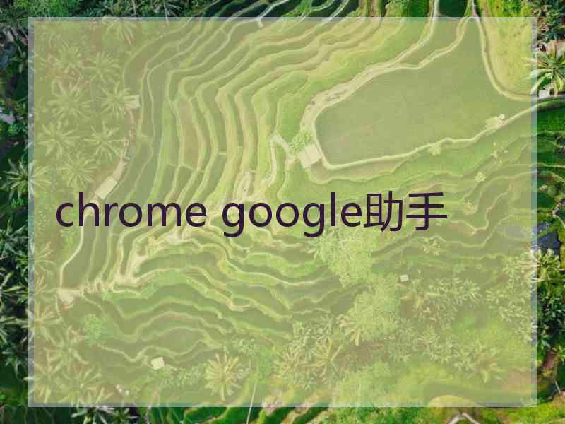 chrome google助手