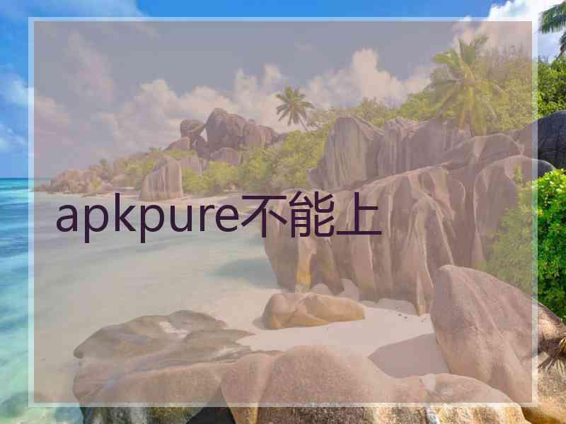 apkpure不能上