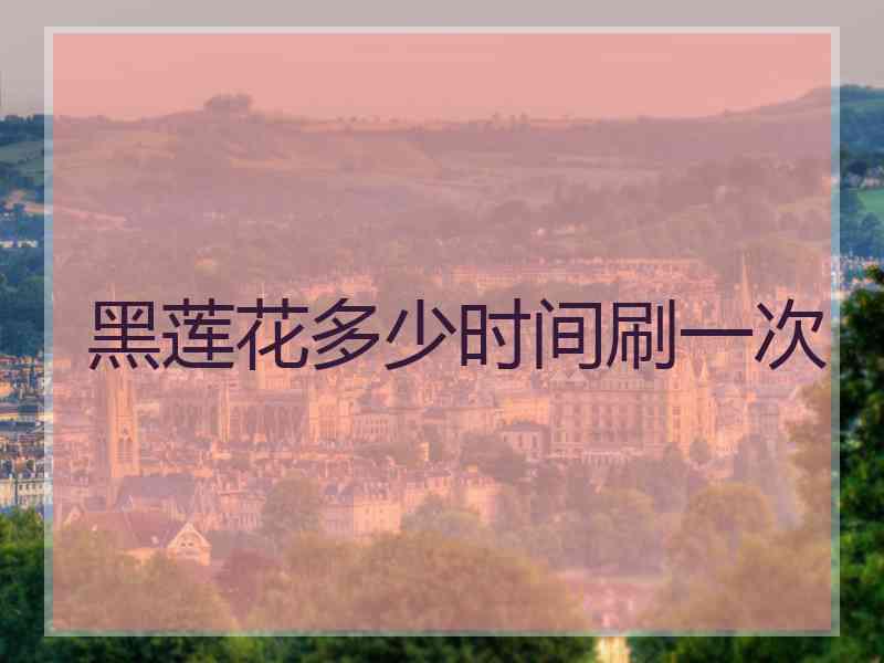 黑莲花多少时间刷一次
