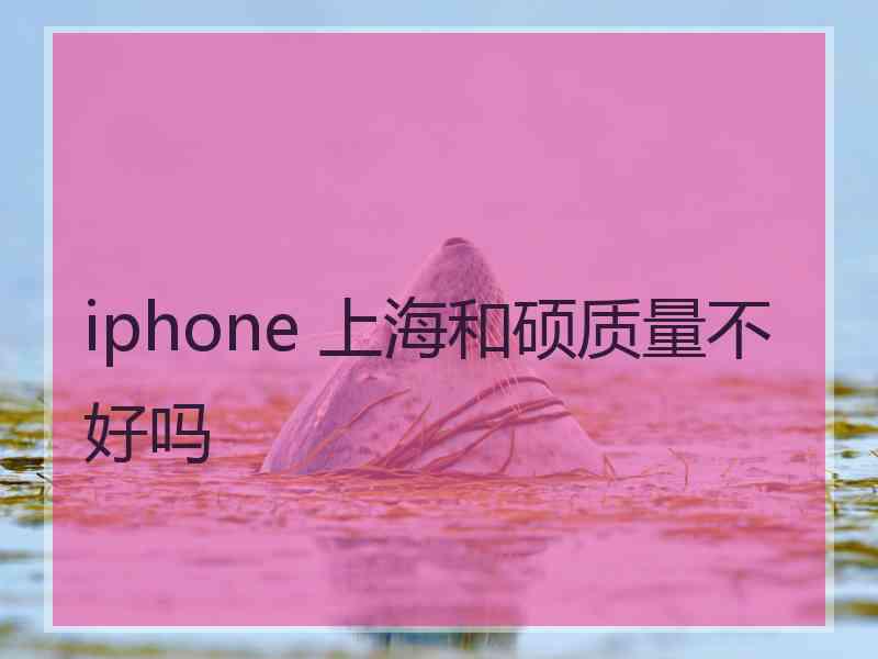 iphone 上海和硕质量不好吗