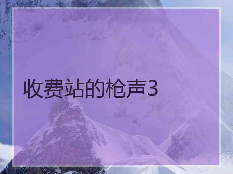 收费站的枪声3