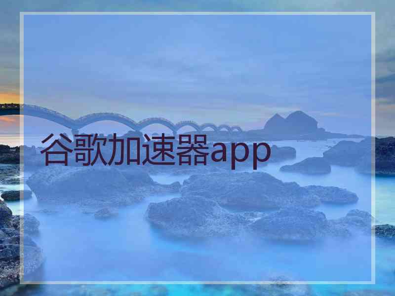 谷歌加速器app