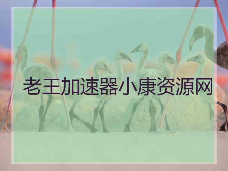 老王加速器小康资源网