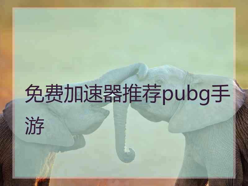 免费加速器推荐pubg手游