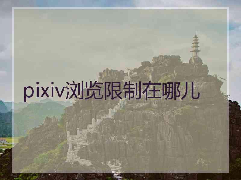 pixiv浏览限制在哪儿