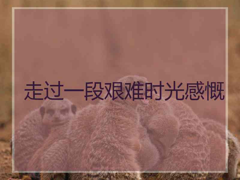 走过一段艰难时光感慨
