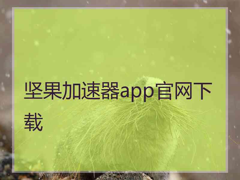 坚果加速器app官网下载