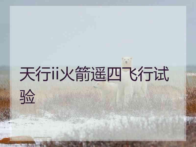 天行ii火箭遥四飞行试验