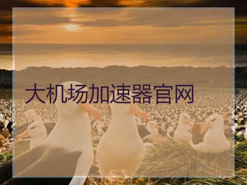大机场加速器官网