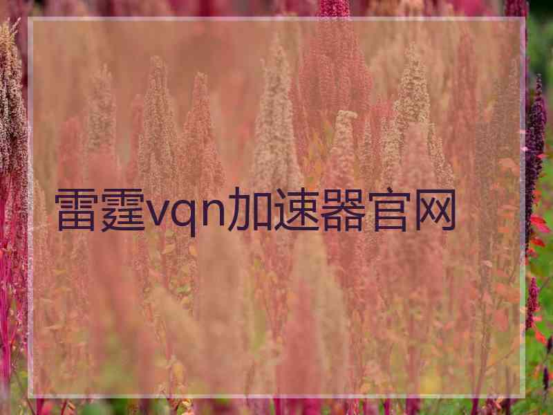 雷霆vqn加速器官网