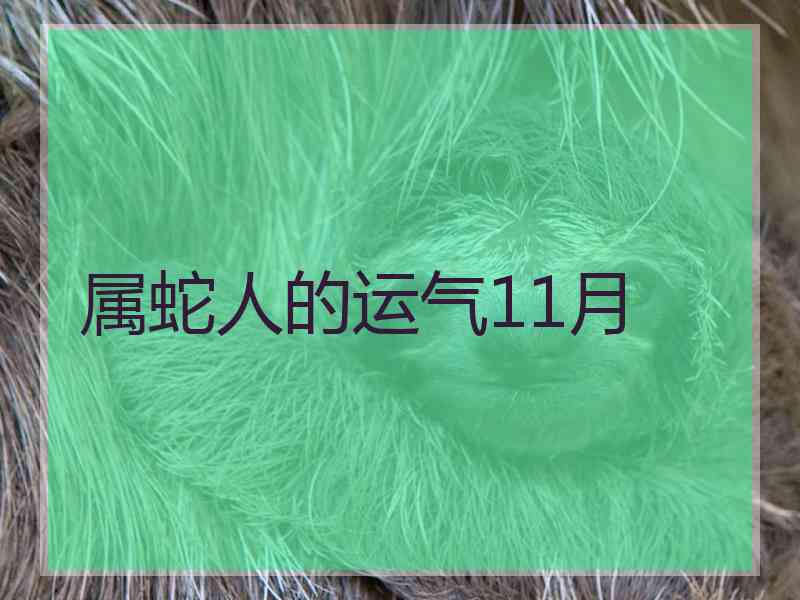 属蛇人的运气11月