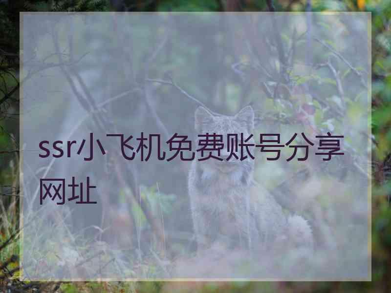 ssr小飞机免费账号分享网址