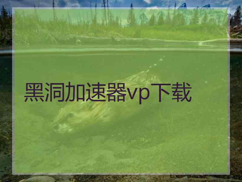 黑洞加速器vp下载