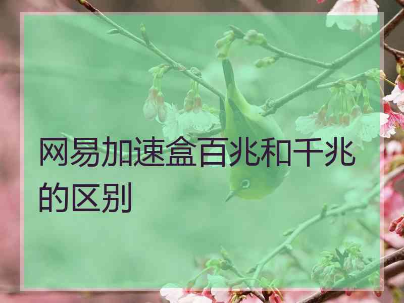 网易加速盒百兆和千兆的区别