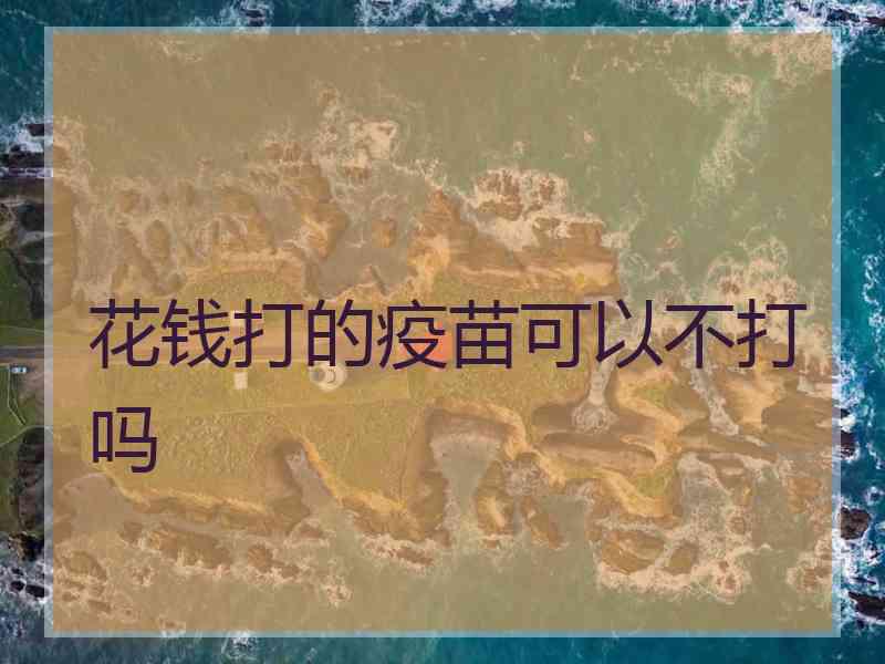 花钱打的疫苗可以不打吗
