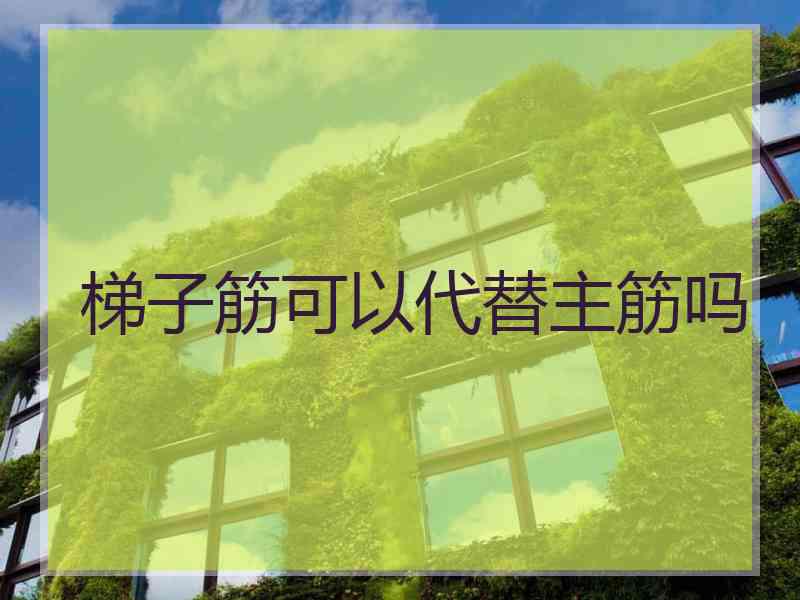 梯子筋可以代替主筋吗