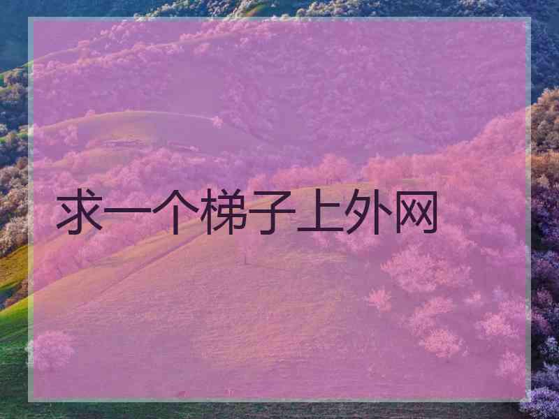求一个梯子上外网