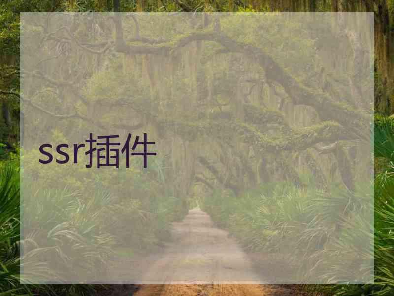 ssr插件