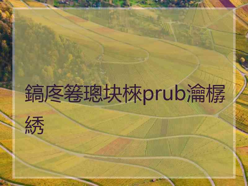 鎬庝箞璁块棶prub瀹樼綉