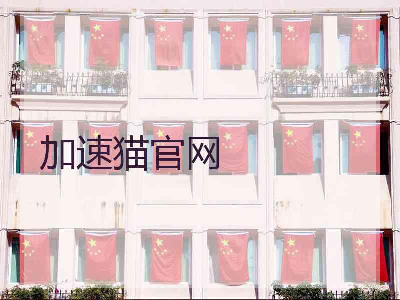加速猫官网