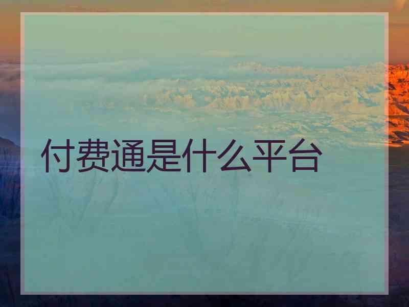 付费通是什么平台