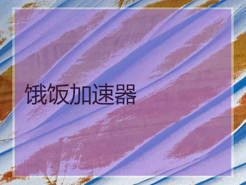 饿饭加速器